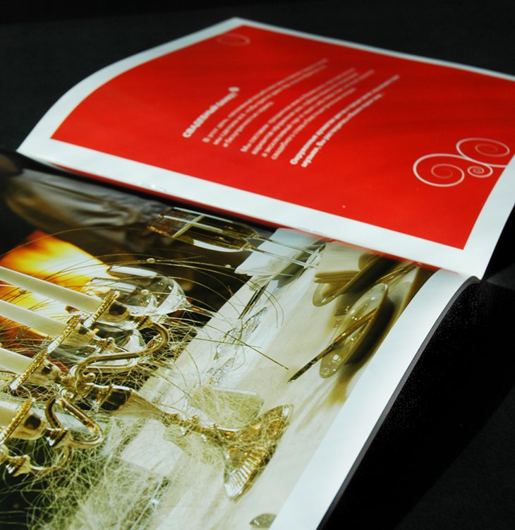 Дизайн брошюры по корпоративным стандартам фото 120